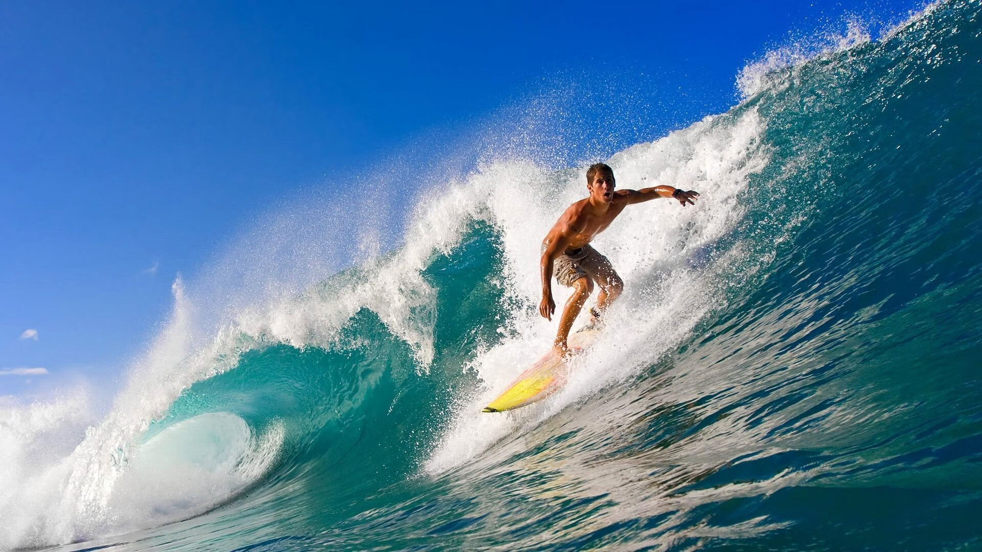 逆袭“黑马先锋”：从无名到欧洲冠军！，2021 黑马